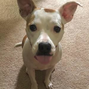 Meet your Posher, Pam